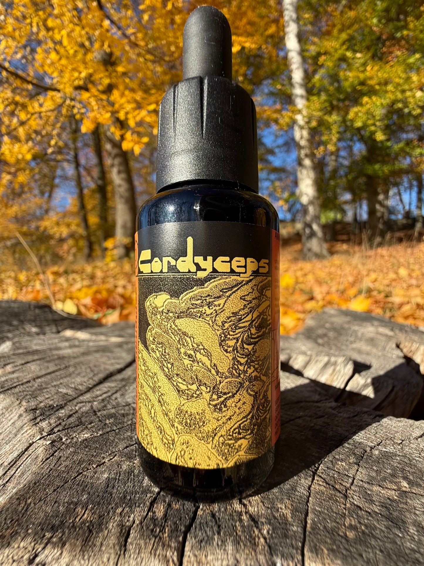 *Mushroom Dual Tincture