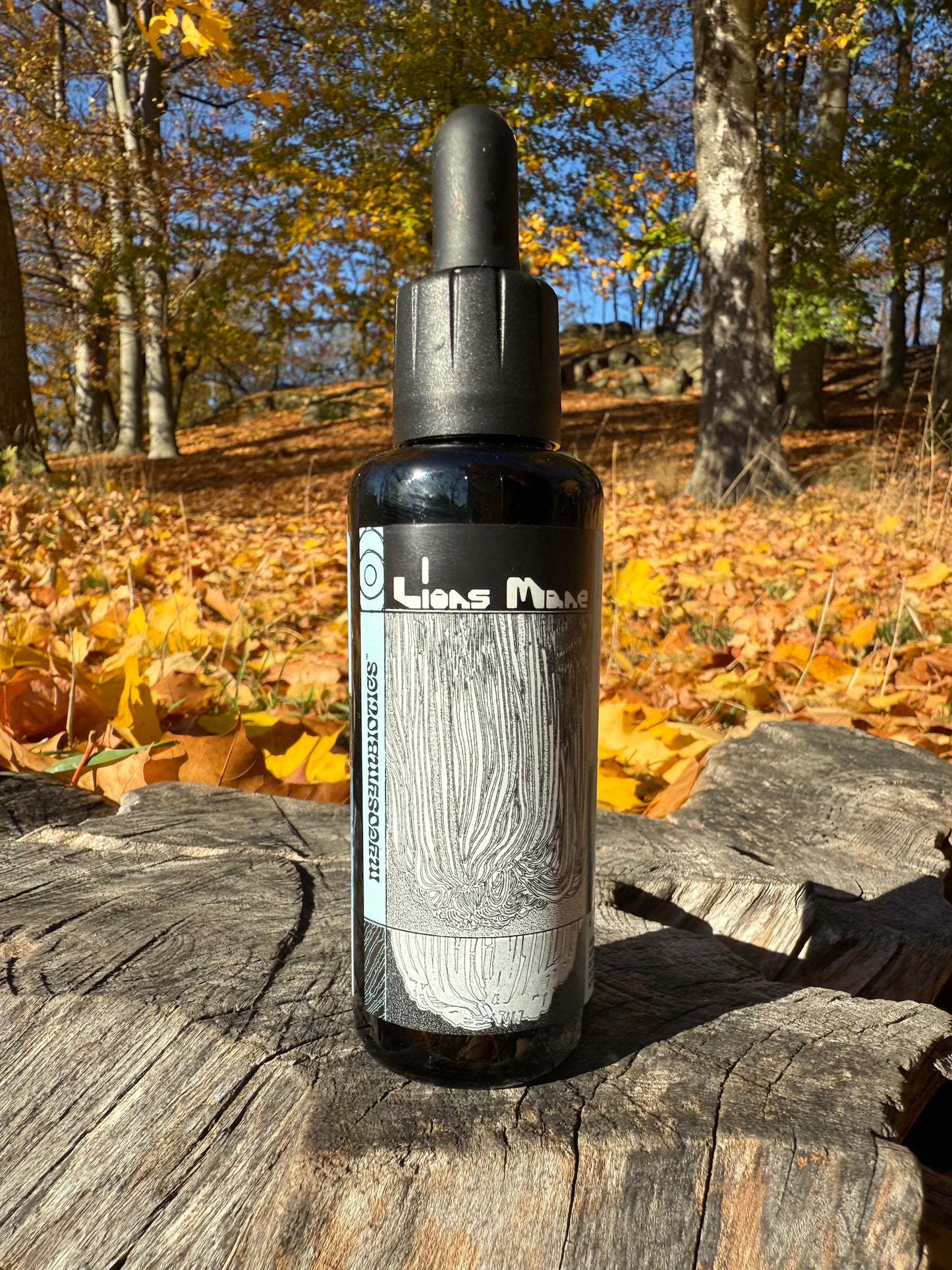 *Mushroom Dual Tincture