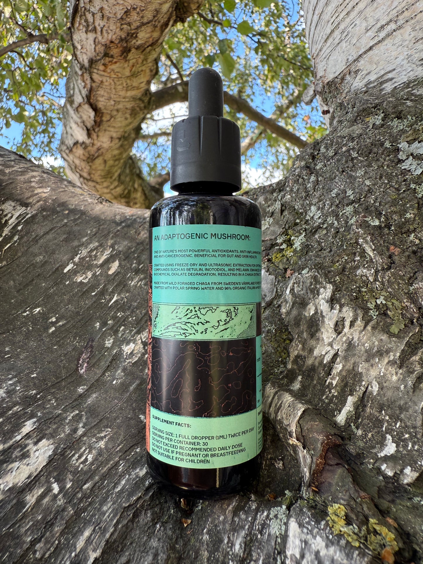 *Mushroom Dual Tincture