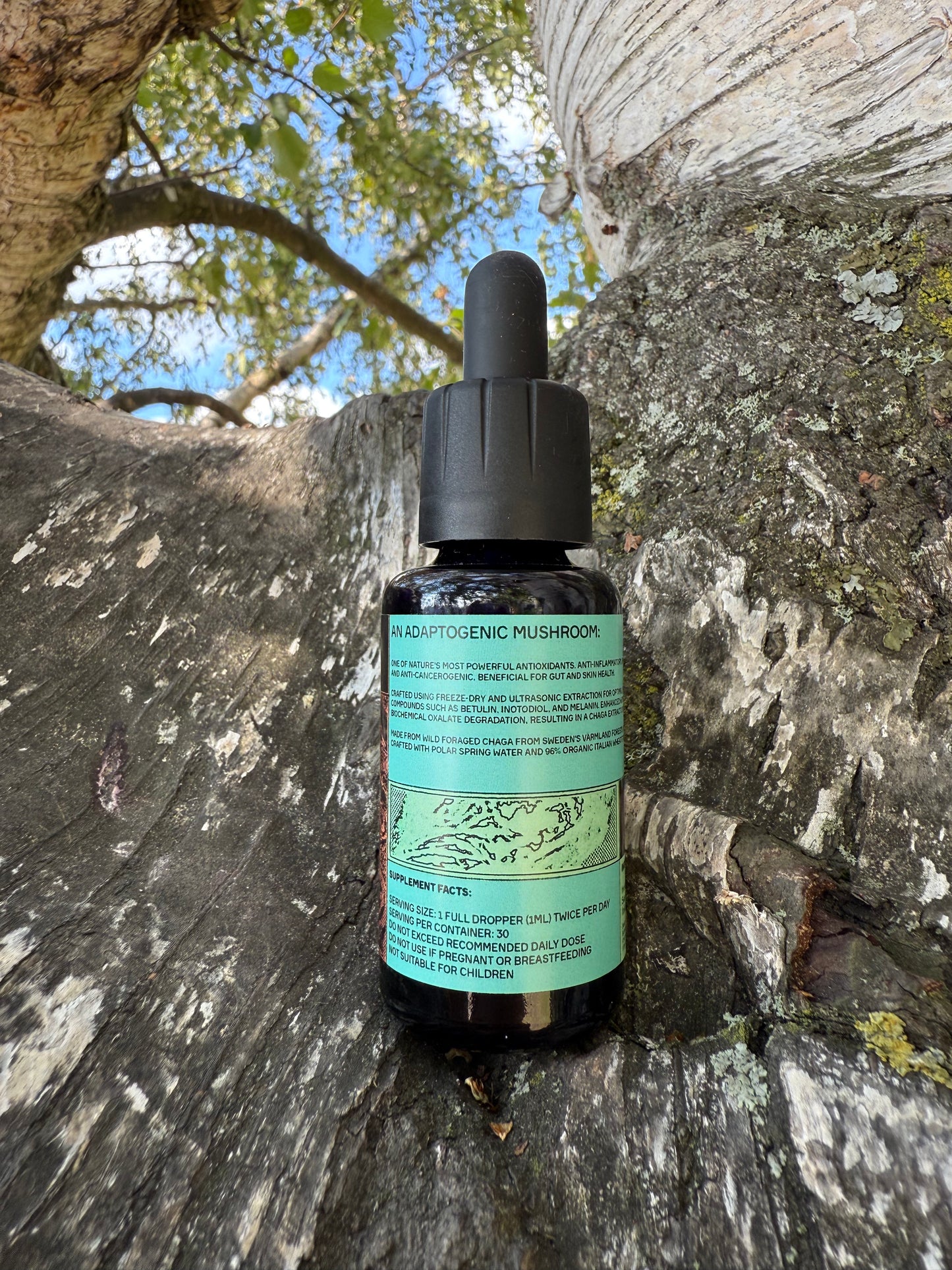 *Mushroom Dual Tincture