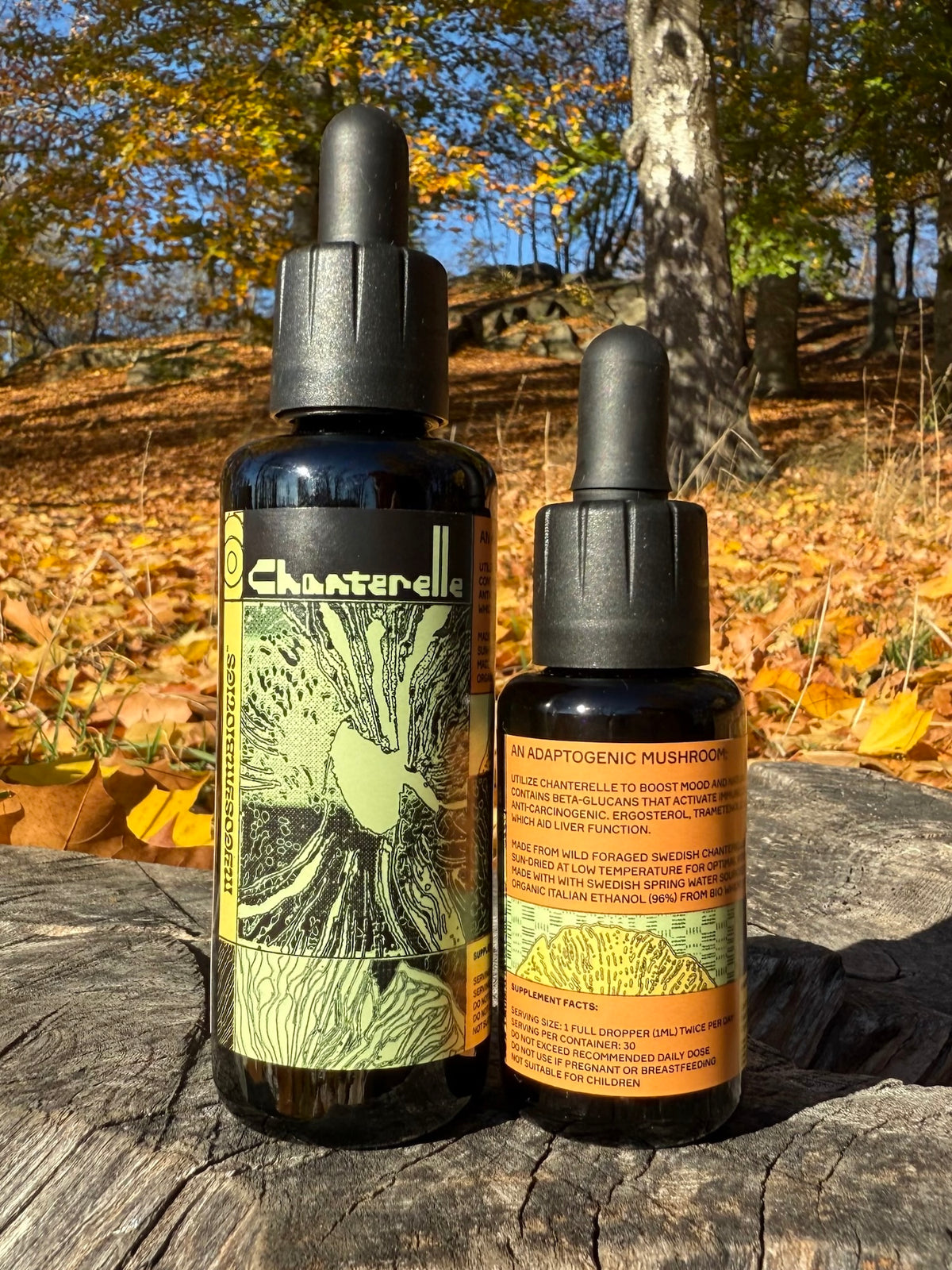 *Mushroom Dual Tincture