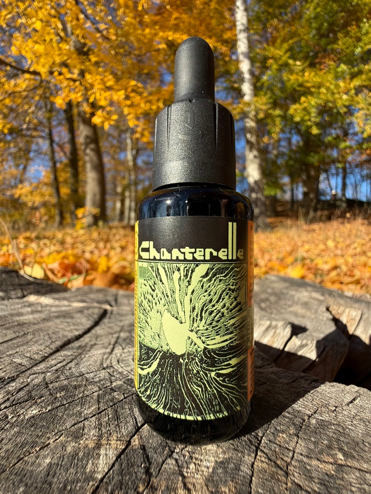 *Mushroom Dual Tincture