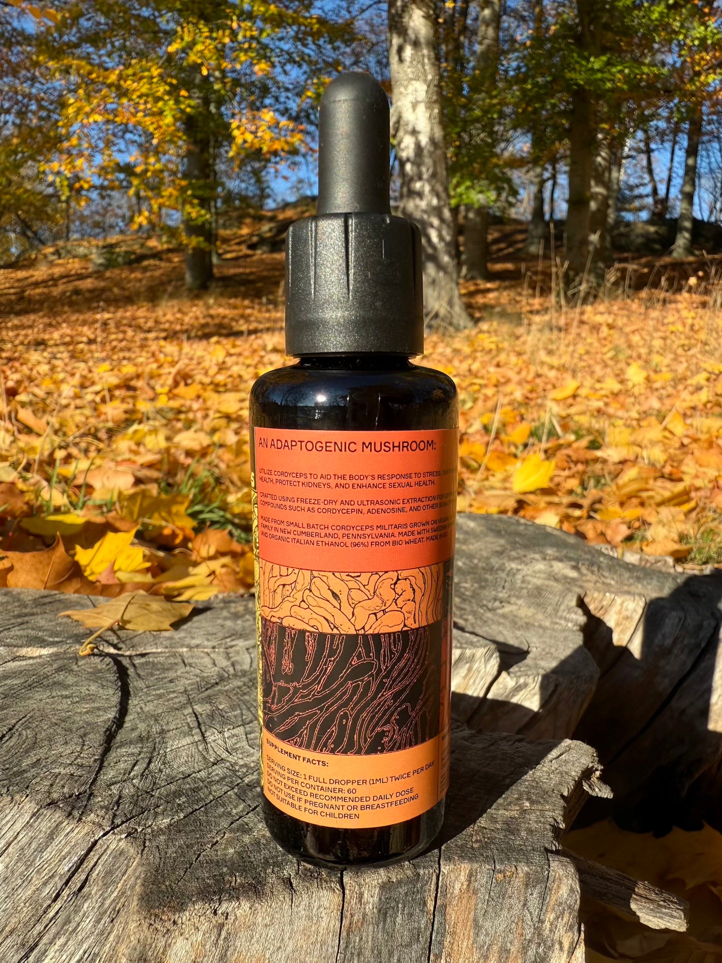 *Mushroom Dual Tincture
