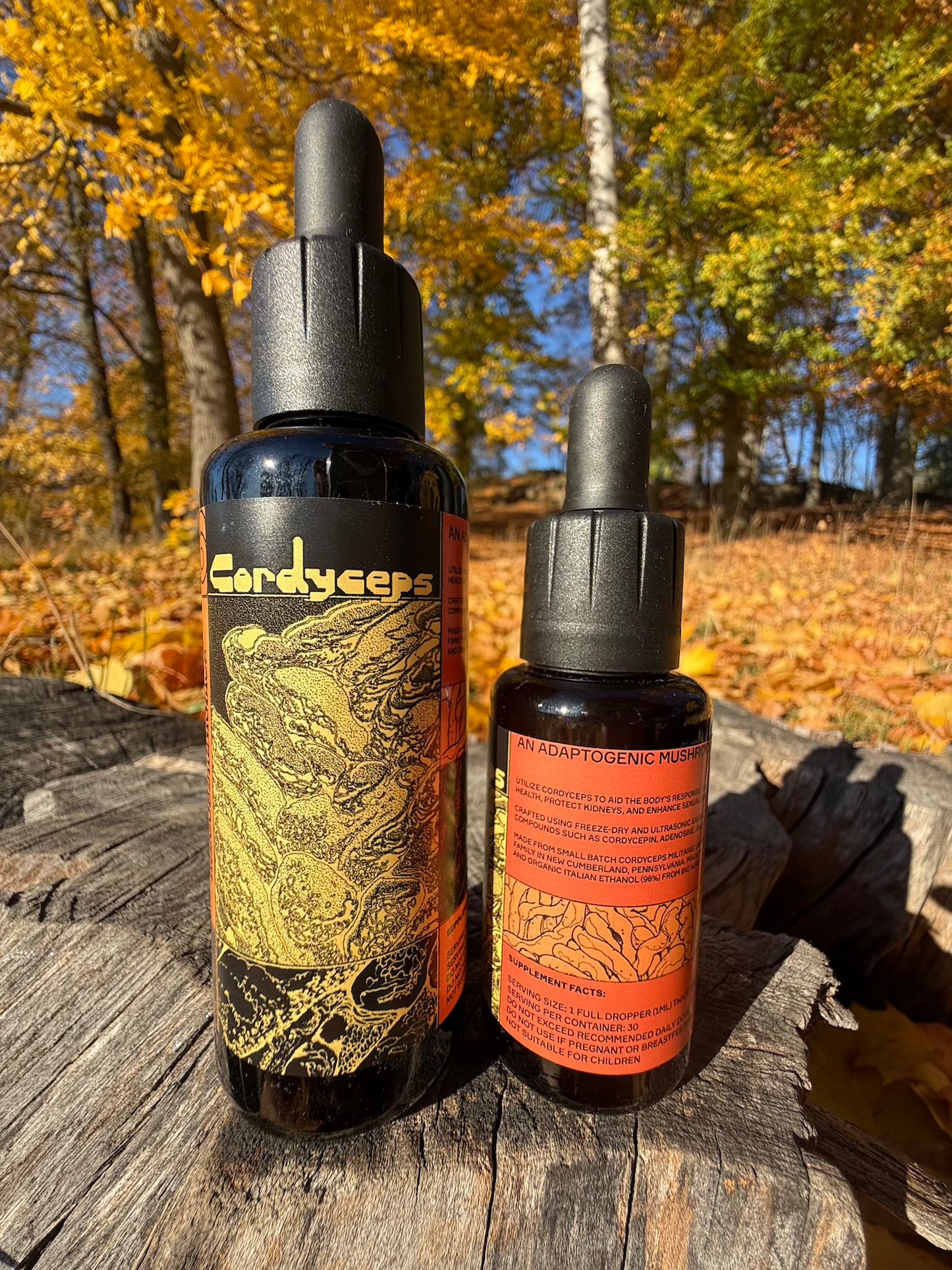 *Mushroom Dual Tincture