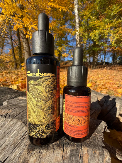 *Mushroom Dual Tincture
