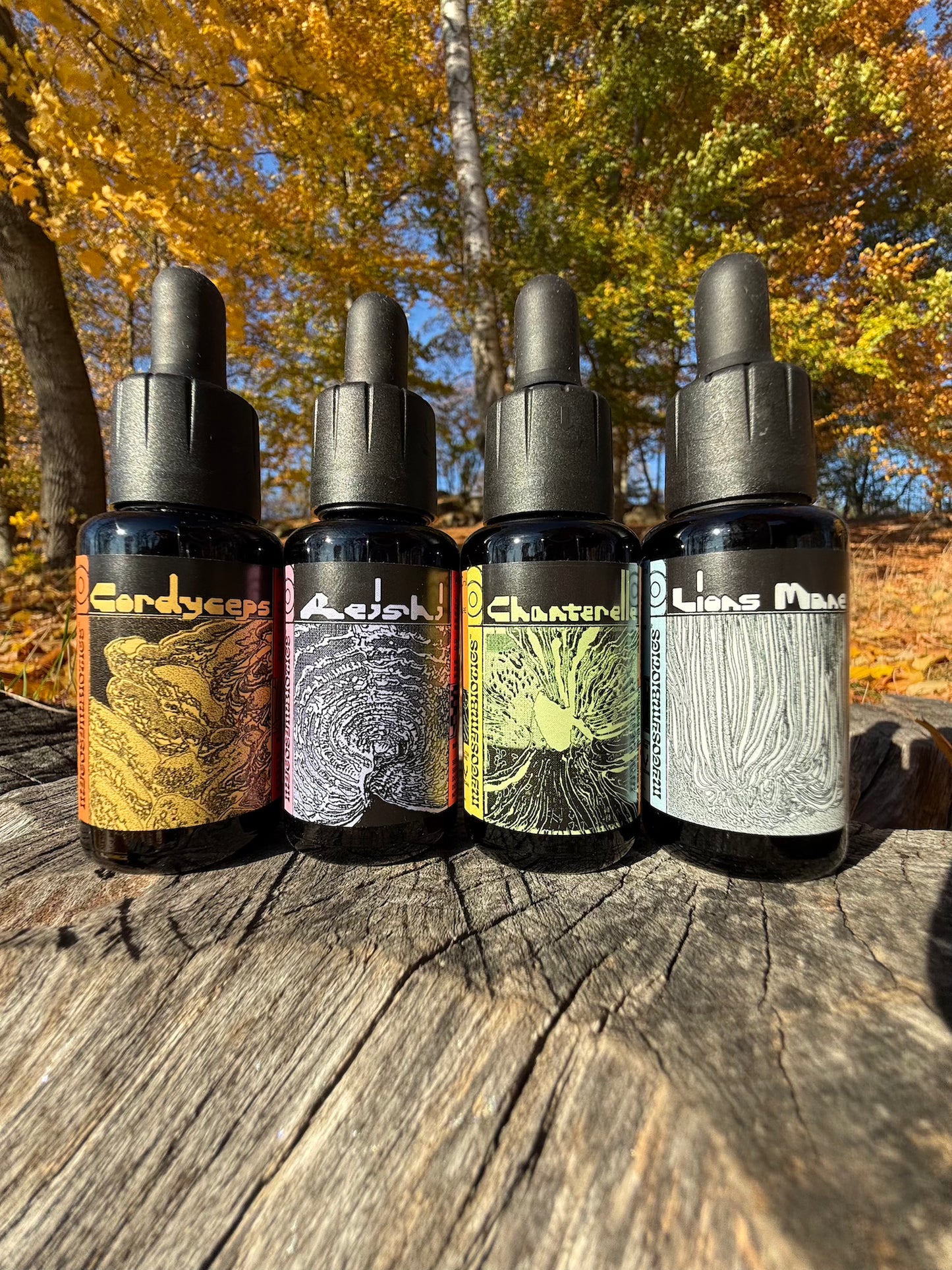 *Mushroom Dual Tincture