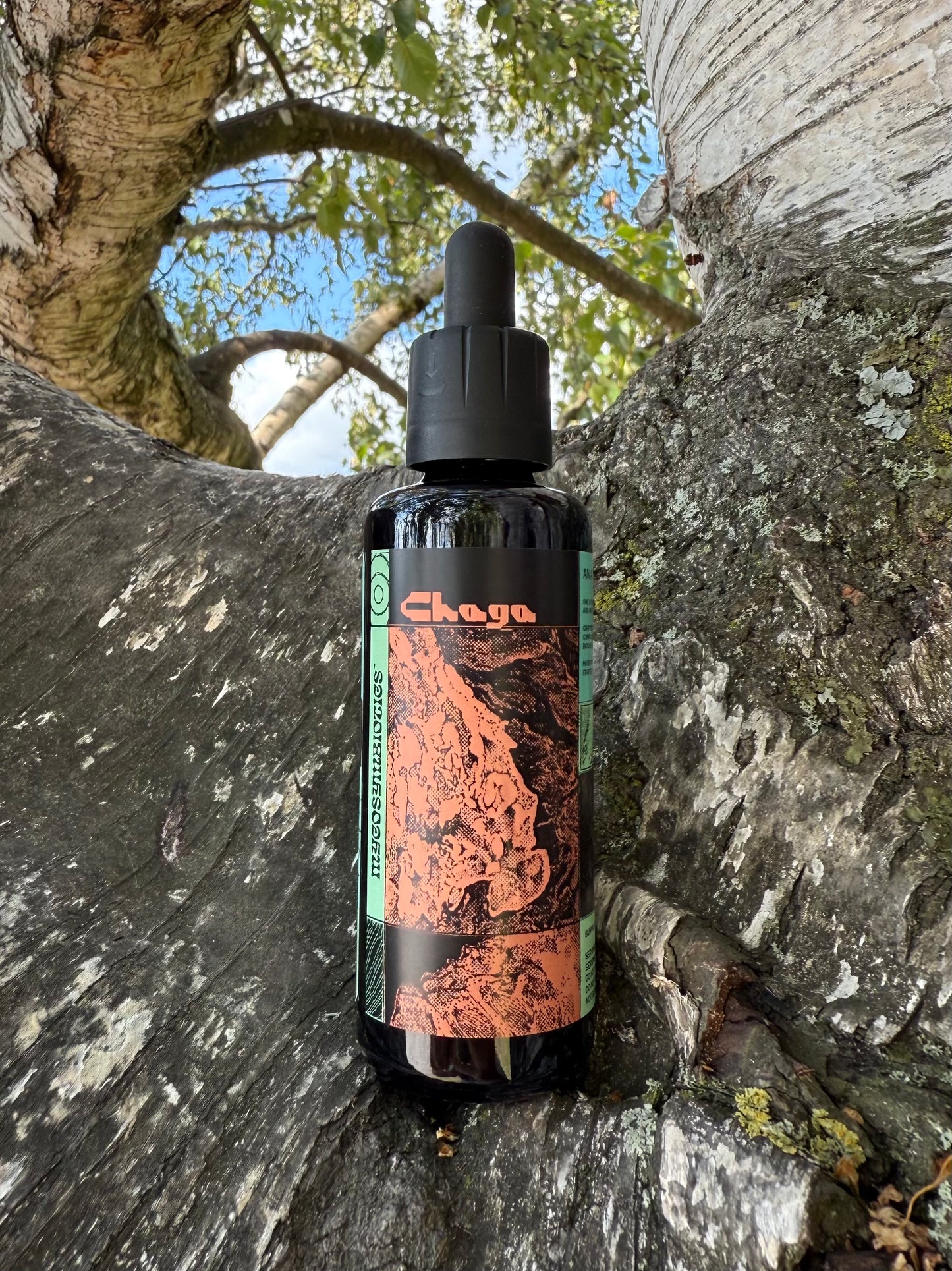 *Mushroom Dual Tincture
