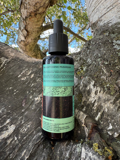 *Mushroom Dual Tincture