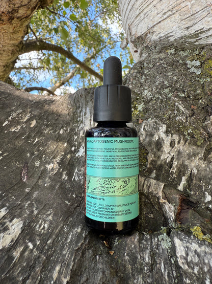 *Mushroom Dual Tincture