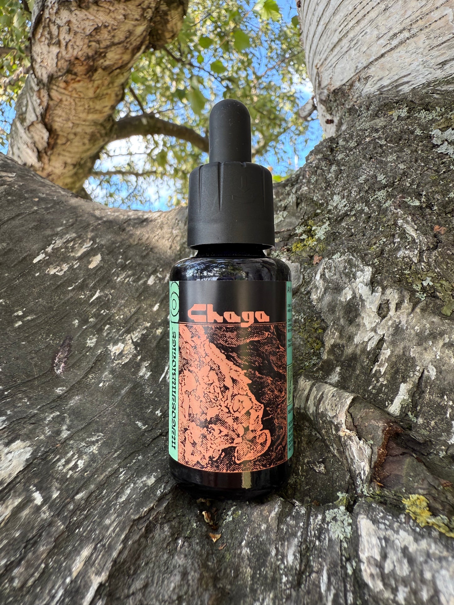 *Mushroom Dual Tincture
